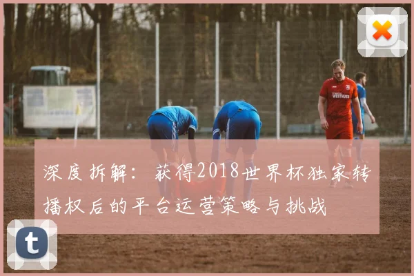 深度拆解:获得2018世界杯独家转播权后的平台运营策略与挑战