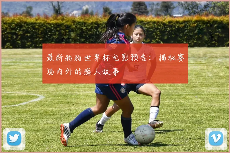 最新狗狗世界杯电影预告：揭秘赛场内外的感人故事