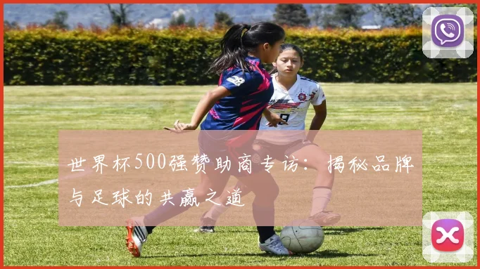 世界杯500强赞助商专访：揭秘品牌与足球的共赢之道
